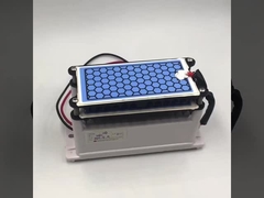 Fabrikant CE-certificering nieuwe ozongenerator 10g dubbele keramische plaat lange levensduur ozononderdelen