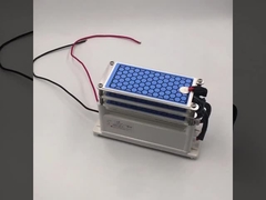 AC 220V 15g/uur Keramische ozonplaat voor ozondesinfectie-machine